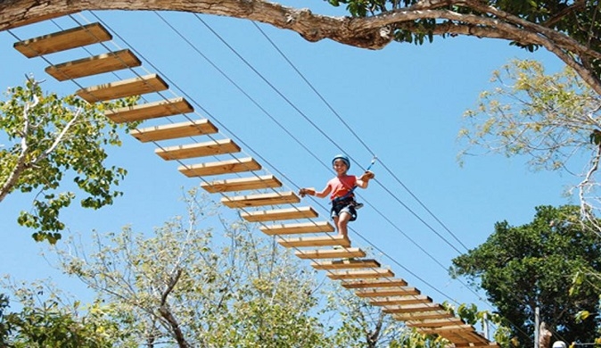 Cenote Swimming and Zip Lines Private Tour