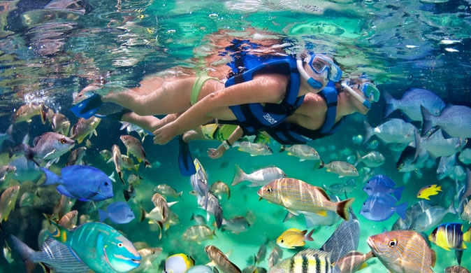 Xel Ha Tour (LOW SEASON)