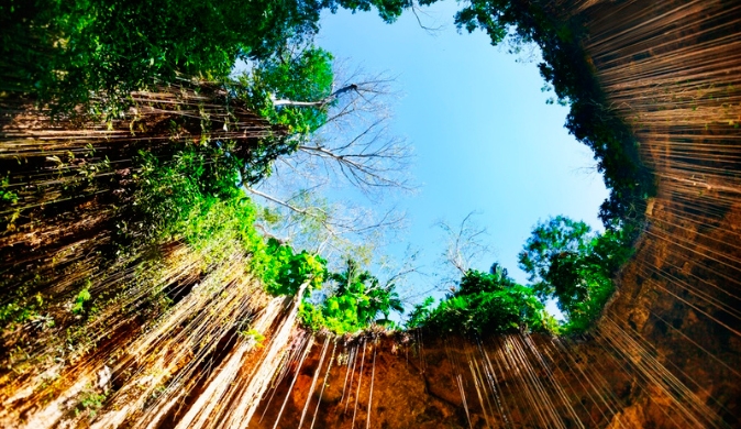 Chichen Itza , Cenote Ikil and Coba Tour