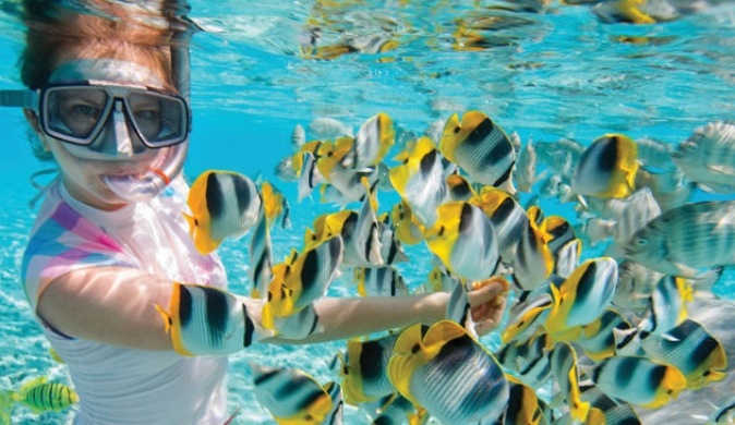 Reef Snorkel and Cenote Swim Tour